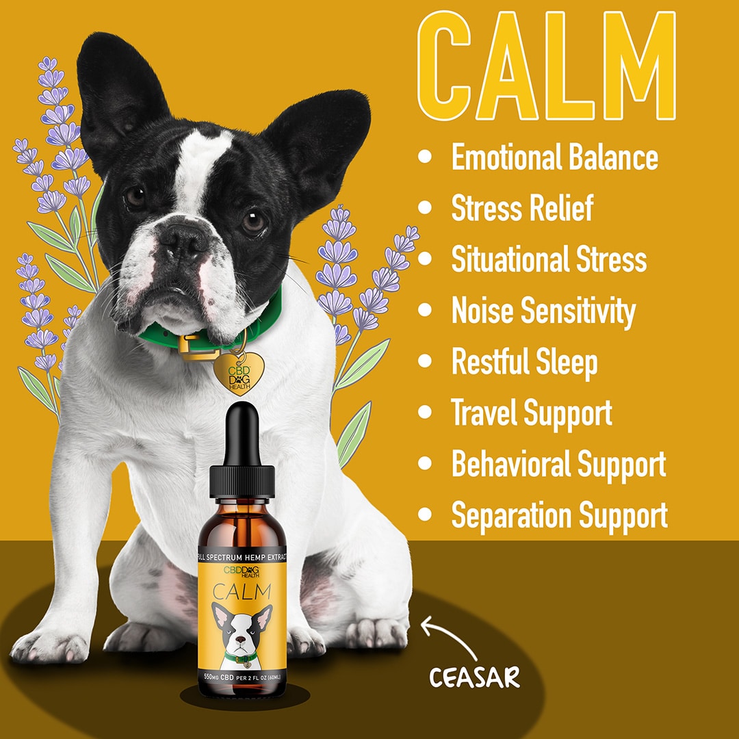 CALM for Dogs with Stress & Anxiety
