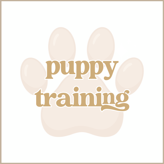 Puppy Training