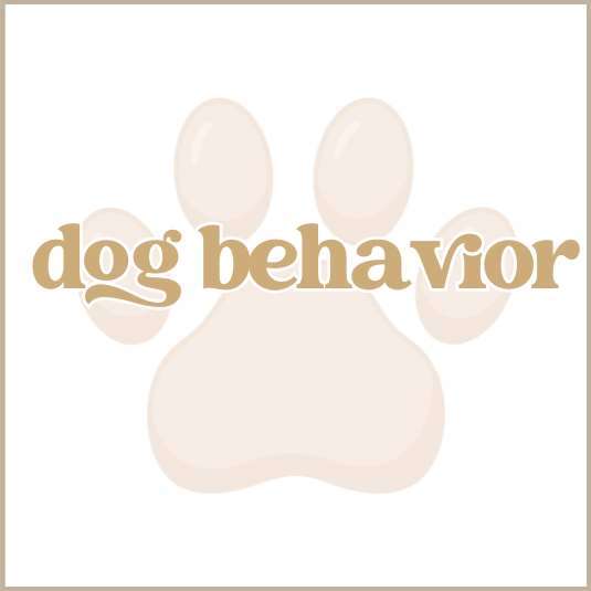 Dog Behavior
