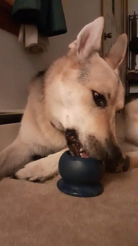 Freezball - Durable Fillable Dog Chew Bone