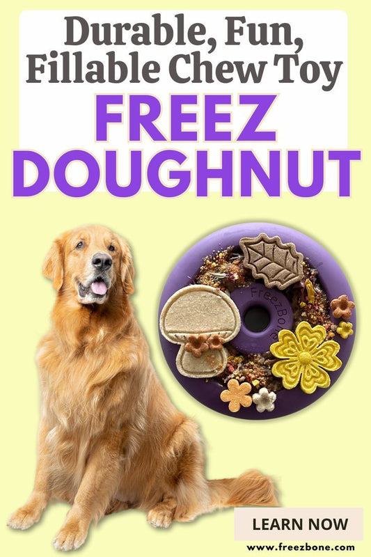 Freez Doughnut — Super Durable Treat Toy