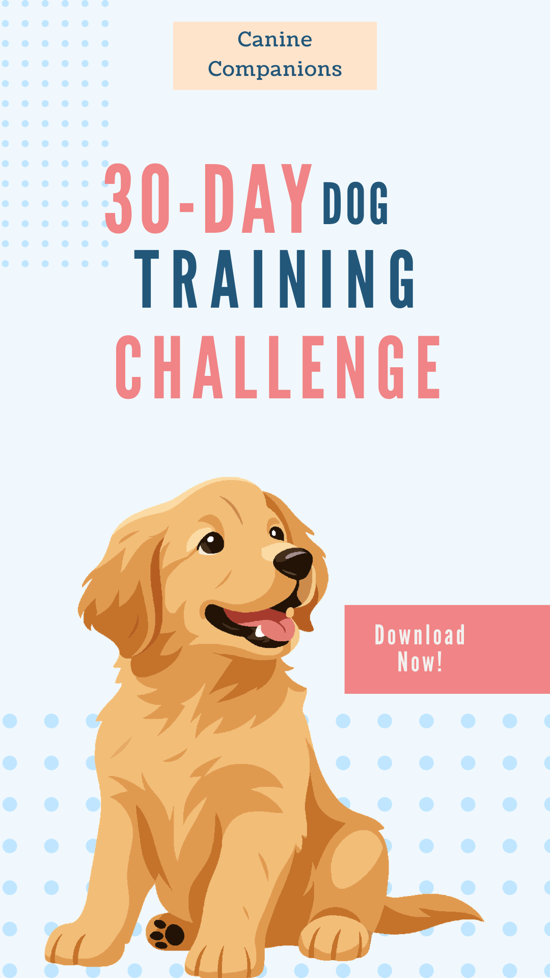 The 30-Day Dog Training Program