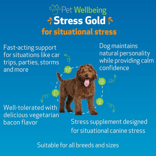 Pet Wellbeing Stress Gold: For Moments of High Stress