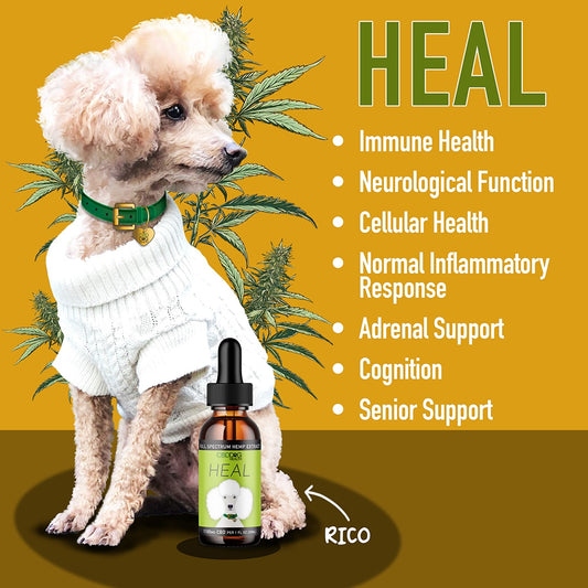 HEAL CBD Tincture for Dogs