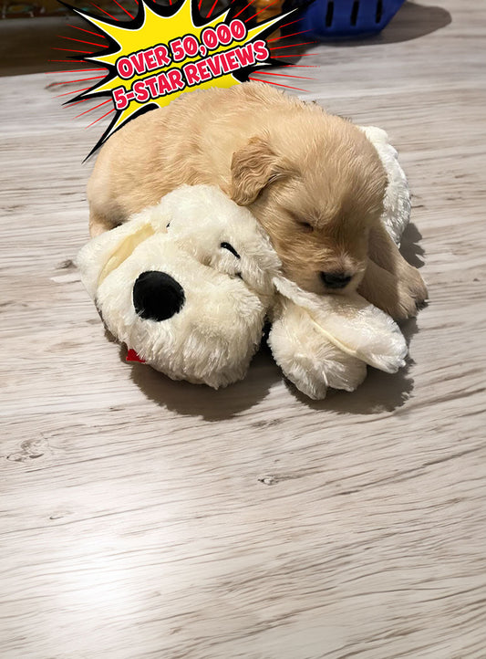 SnugglePuppy Behavioral Aid Toy