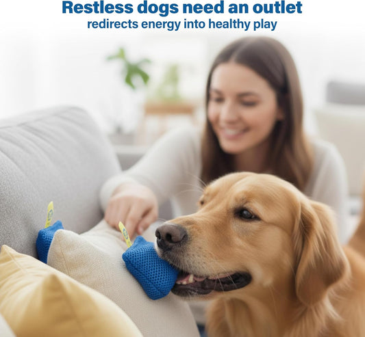 Complete Scent Training & Enrichment Kit for Dogs