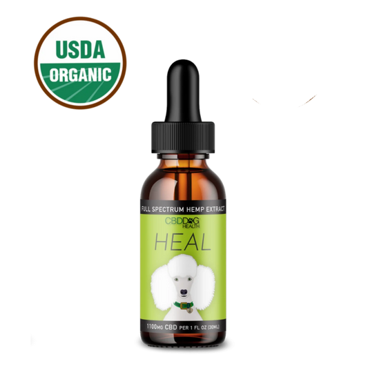 HEAL CBD Tincture for Dogs