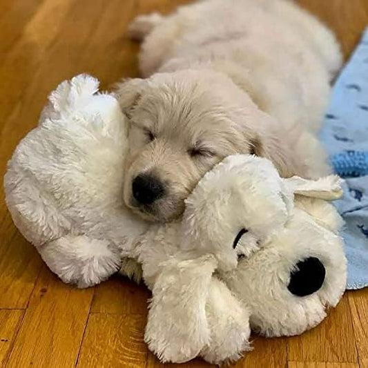 SnugglePuppy